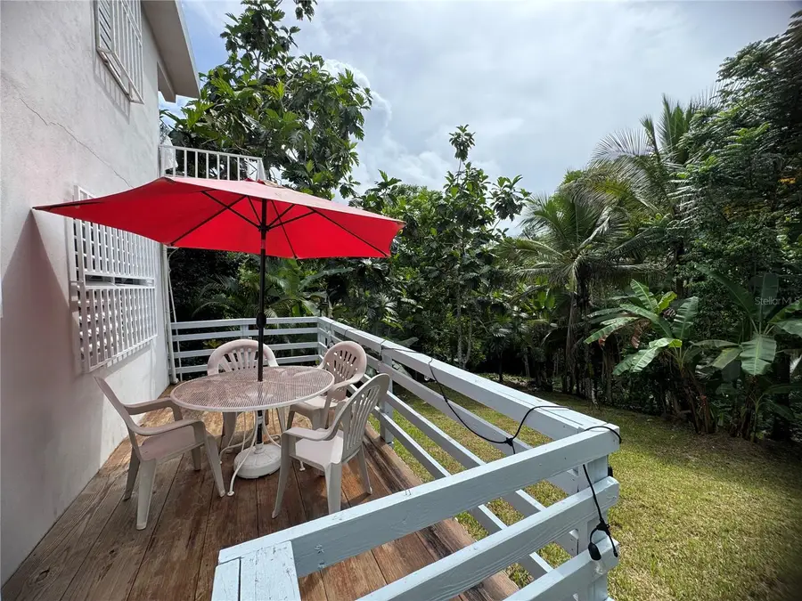 21817 Sector Malua Guavate, Cayey, PR 00736 - #2