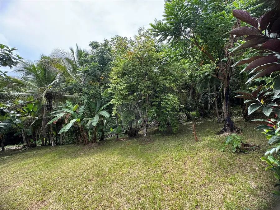 21817 Sector Malua Guavate, Cayey, PR 00736 - #3