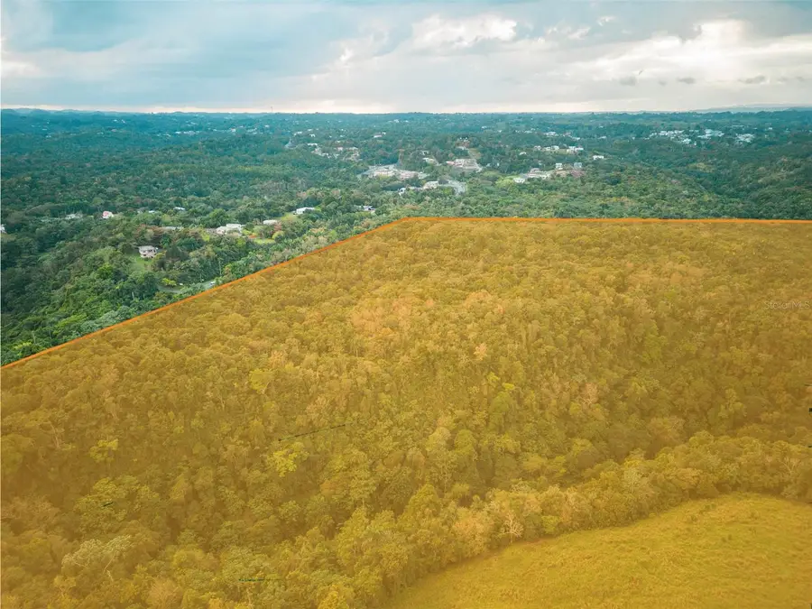 Bo. Quebrada, Camuy, PR 00627 - #2