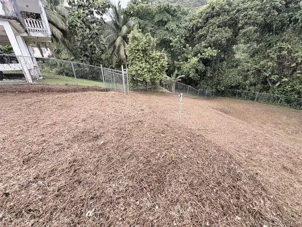 Bo Pitahaya, LUQUILLO, PR 00773