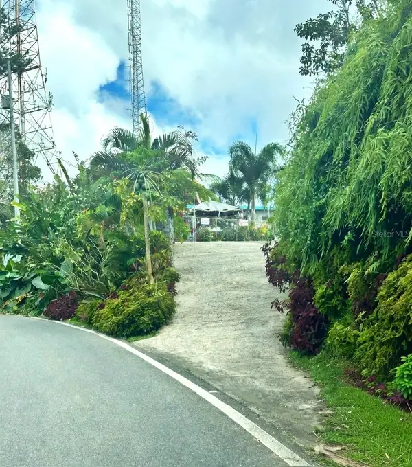 795 Bairoa, AGUAS BUENAS, PR 00703