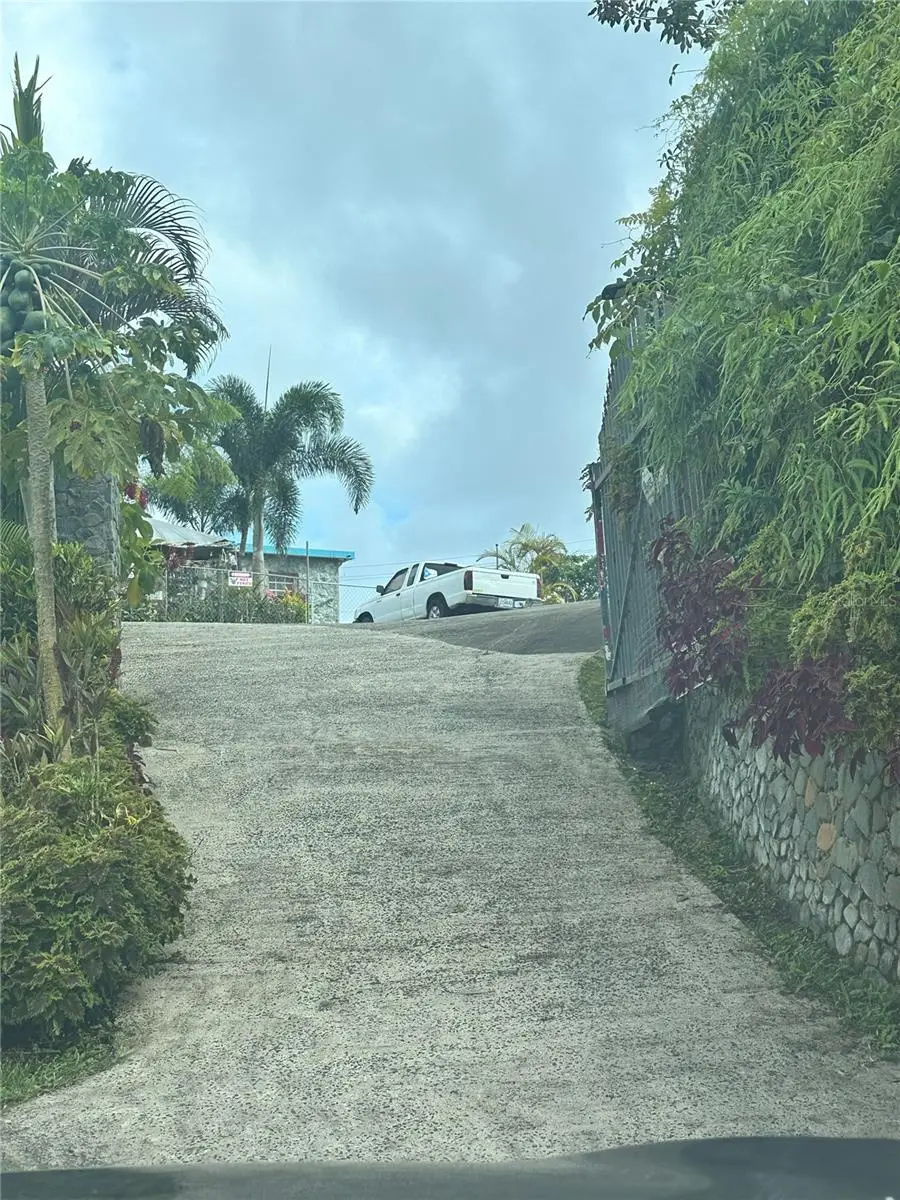 795 Bairoa, Aguas Buenas, PR 00703 - #2