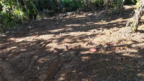 186 Camino Los Reyes, CANOVANAS, PR 00729