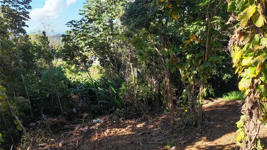 186 Camino Los Reyes, Canovanas, PR 00729 - #3