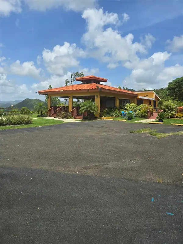 Bo Pulguillas, Carr. 723, COAMO, PR 00769