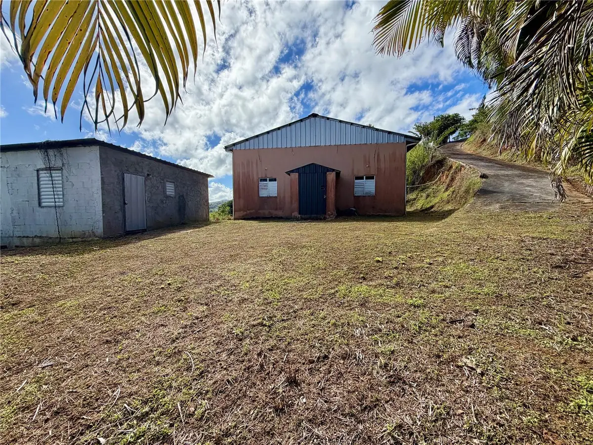 PR-172 Sector La Sierra, Cidra, PR 00739 - #1
