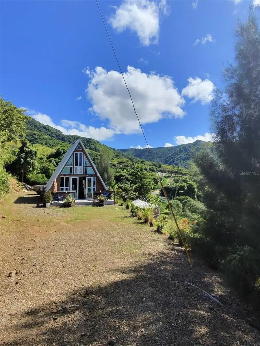 717 Carr. 717, 4.2 Int, Lot 5, Aibonito, PR 00705 - #1