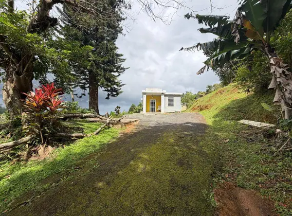 780 St. Km.0.9 Bo Palomas, COMERIO, PR 00782