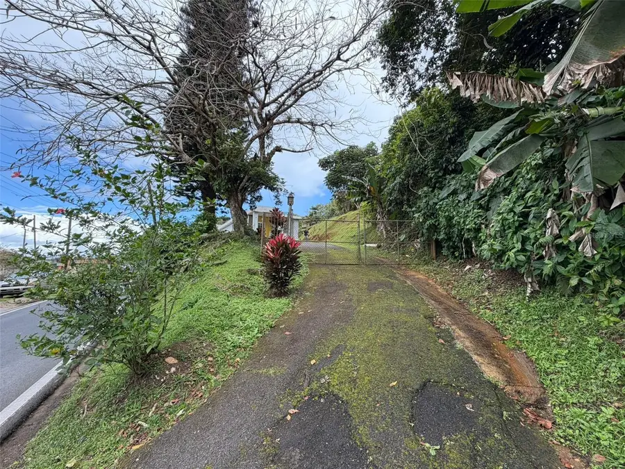 780 St. Km.0.9 Bo Palomas, Comerio, PR 00782 - #2