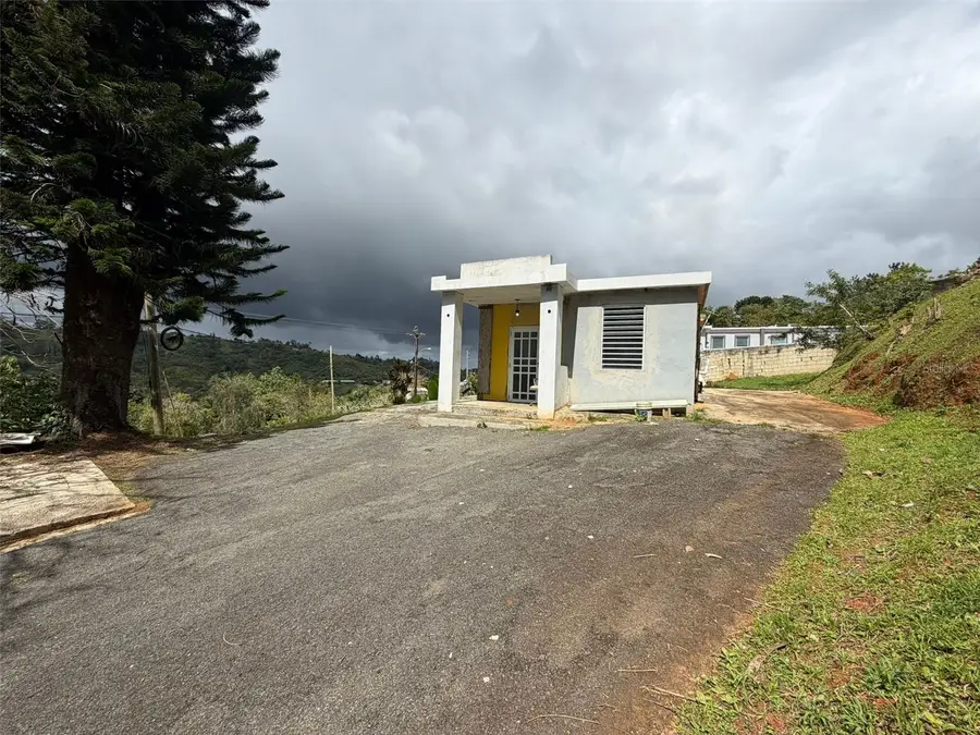 780 St. Km.0.9 Bo Palomas, Comerio, PR 00782 - #3