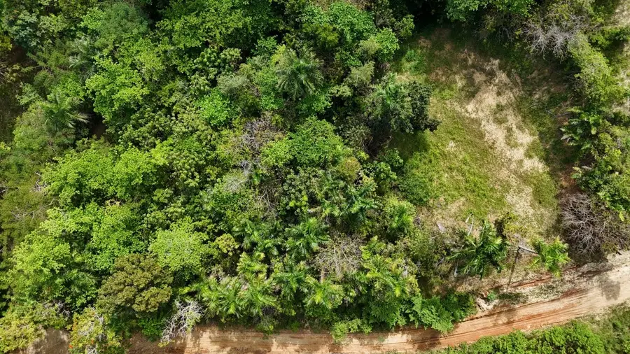 413 Int, Rincon, PR 00677 - #2