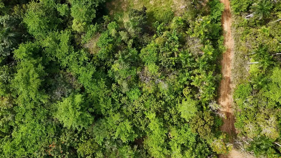 413 Int, Rincon, PR 00677 - #3