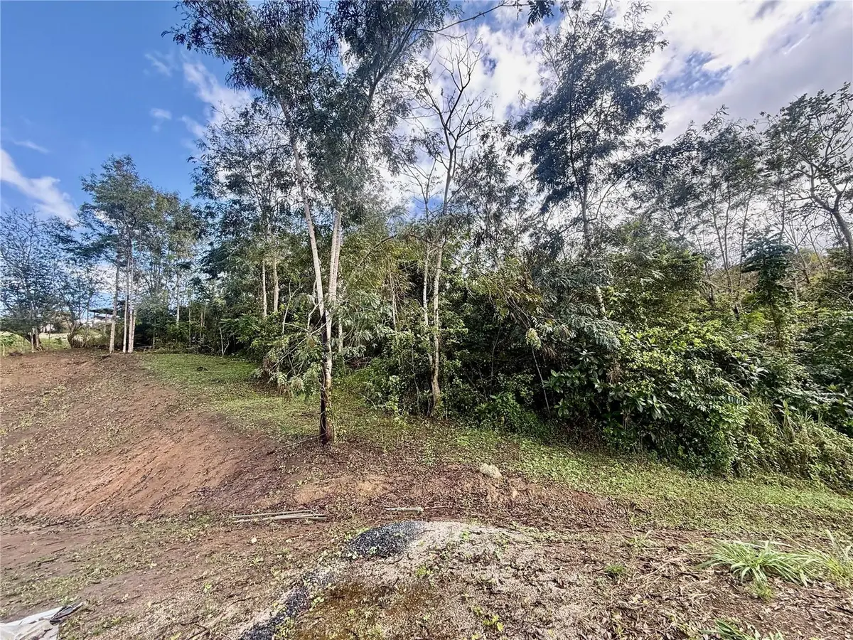 Bo Rincn Lomas, Cayey, PR 00736 - #1