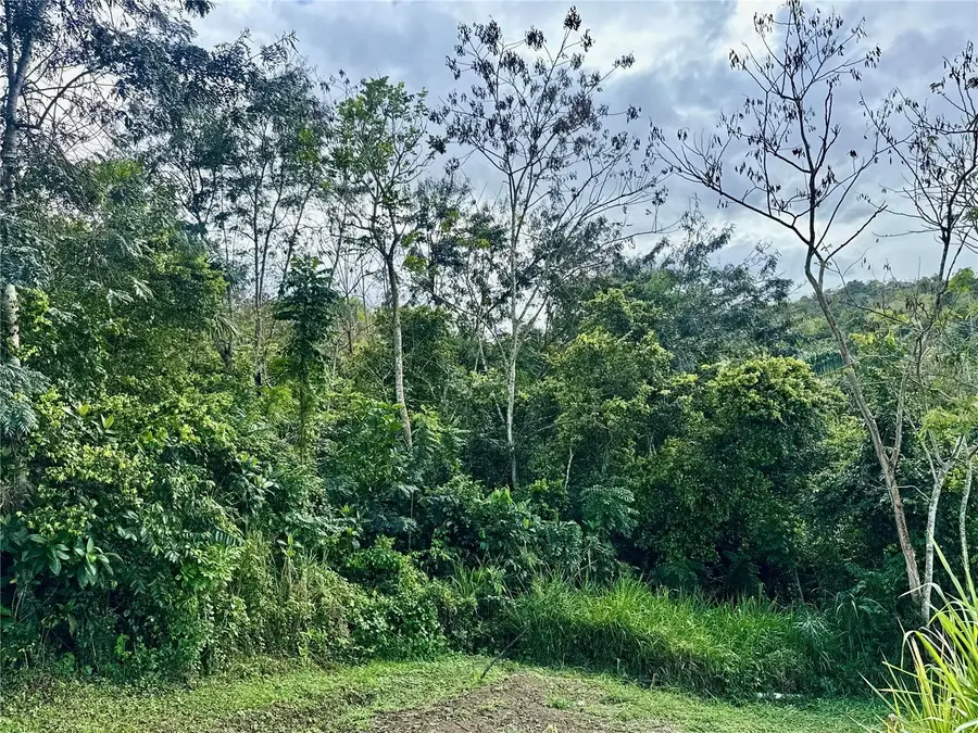 Bo Rincn Lomas, Cayey, PR 00736 - #3