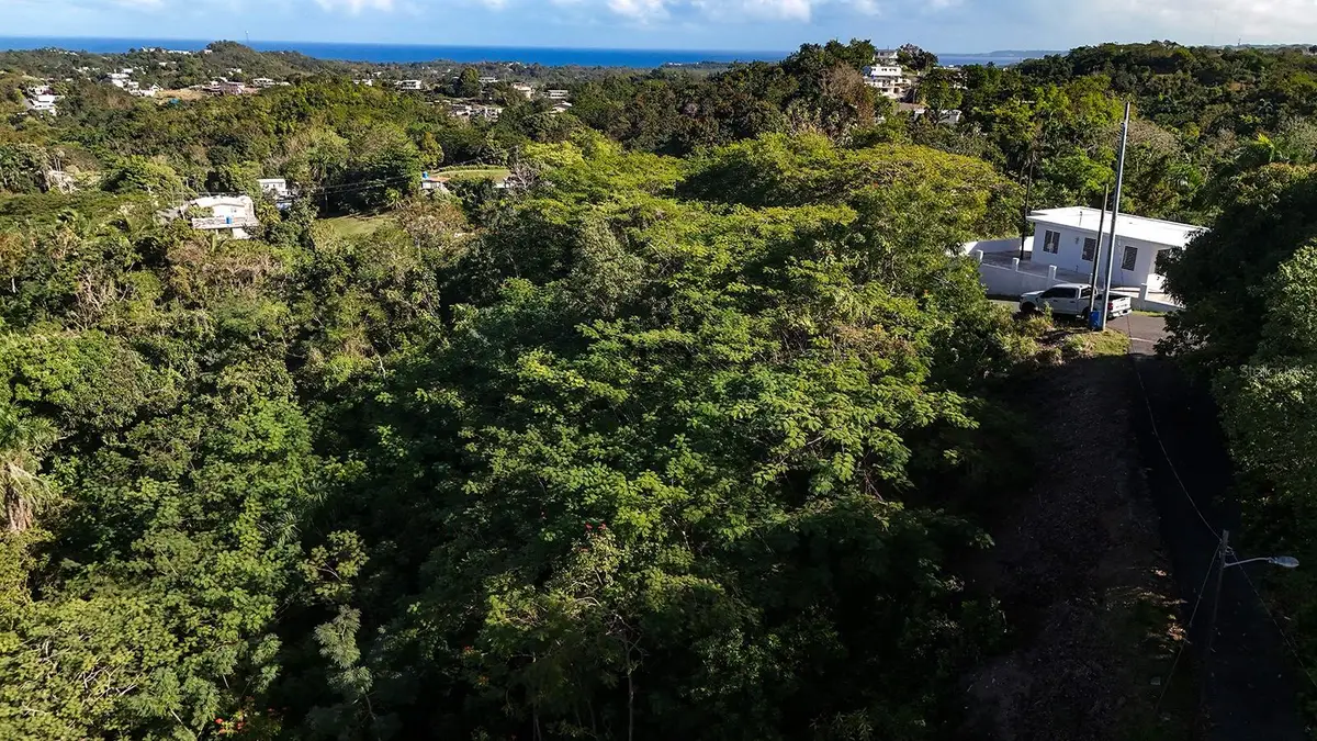 BO. CRUCES Carr 414 Km. Hm. 0.5, Rincon, PR 00677 - #1