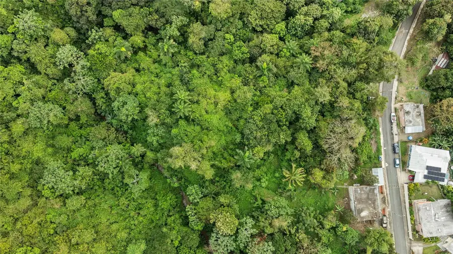 Bo. Jaguitas Solar 2, Hormigueros, PR 00660 - #3