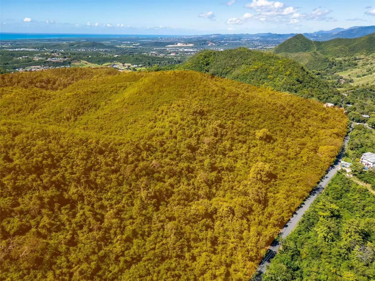 Bo Tijeras, Juana Diaz, PR 00795 - #1