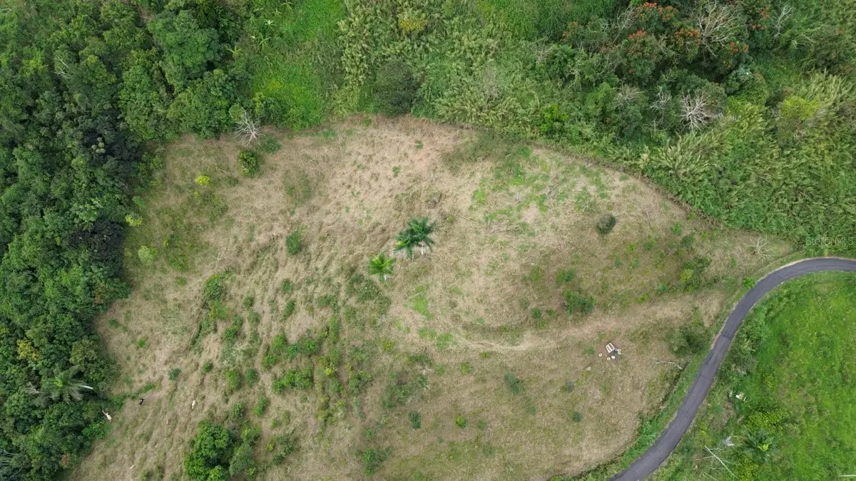 Carr 734 Km.hm 2.8. Bo. Arenas, Cidra, PR 00739 - #1