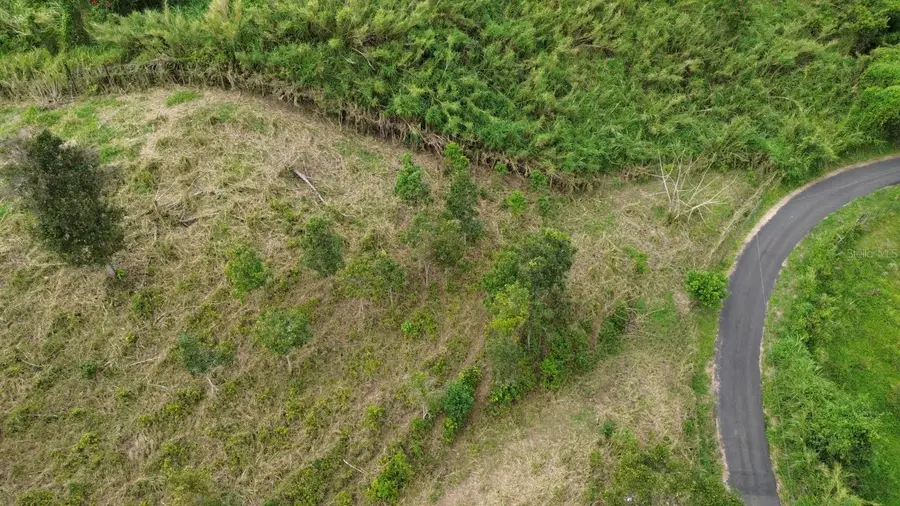 Carr 734 Km.hm 2.8. Bo. Arenas, Cidra, PR 00739 - #3