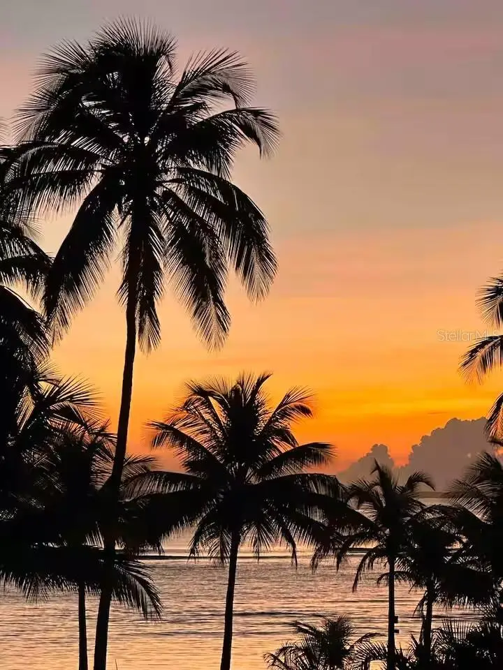 001 Punta Bandera Beach #552, Luquillo, PR 00773 - #3