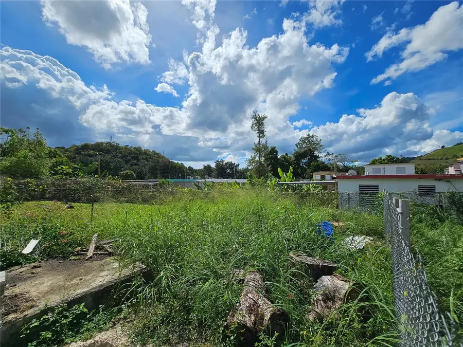 Calle 5 Calle Borinquen, Villalba, PR 00766 - #2