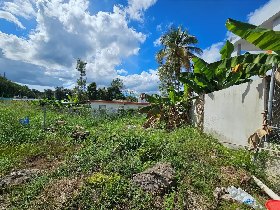 Calle 5 Calle Borinquen, Villalba, PR 00766 - #3