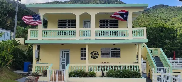 Carr 3 Camino Cooperativo, PATILLAS, PR 00723