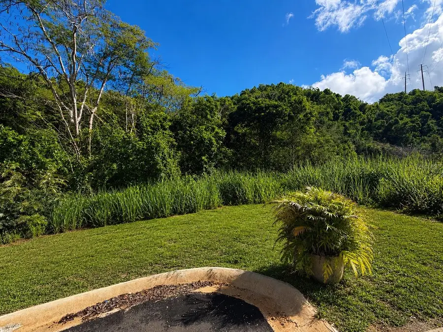 1 Pr-686 Km 1.2 Interior, Manati, PR 00674 - #3