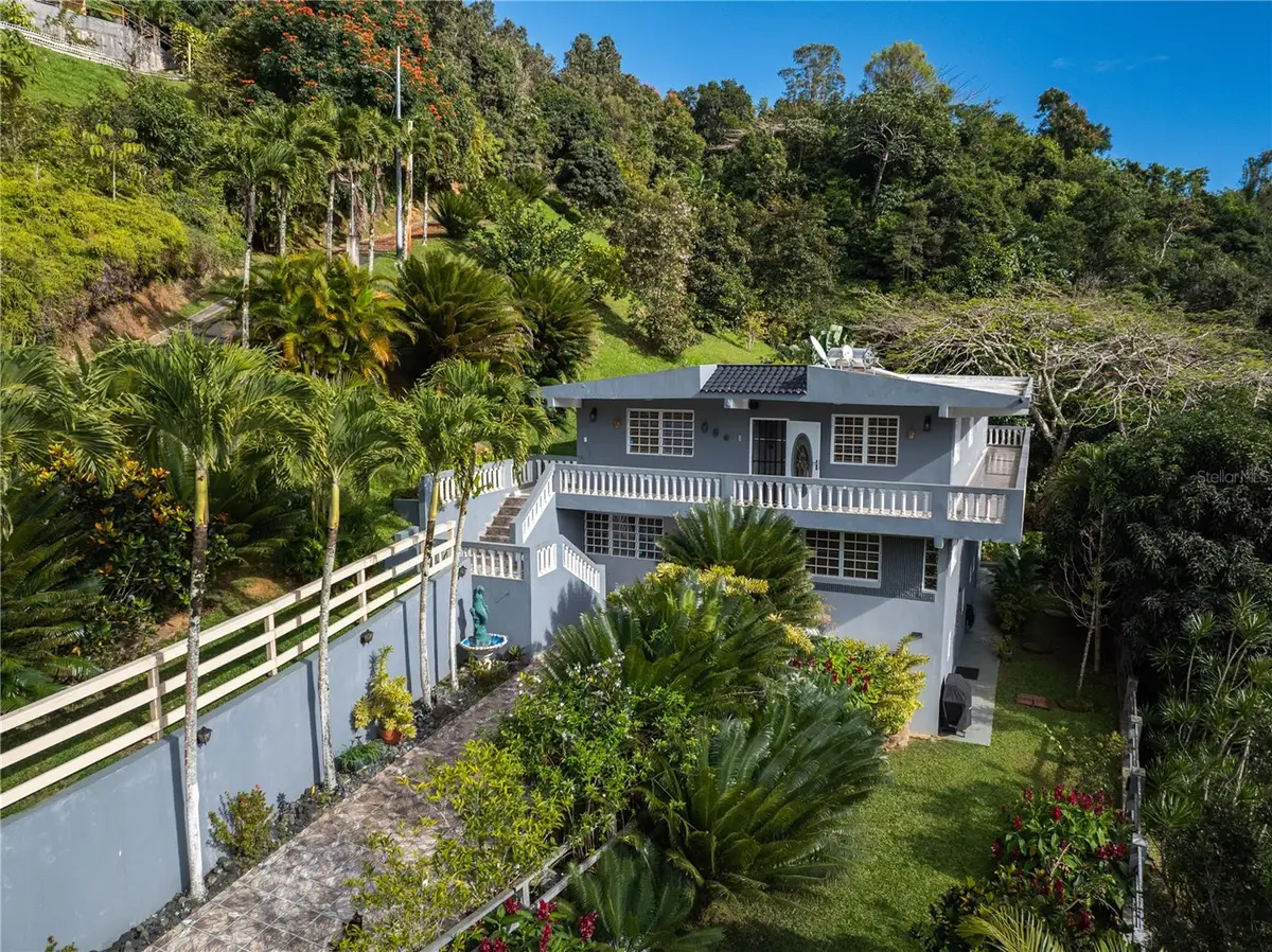 Carretera 715 Kilometro 3.7, Cayey, PR 00736 - #1