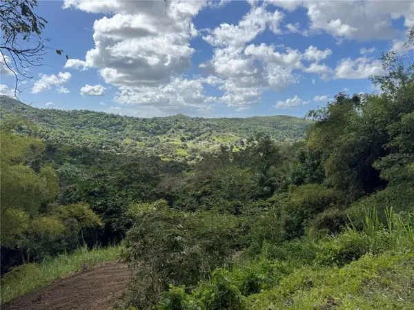 Carr 857 Km 6.3, CAROLINA, PR 00987