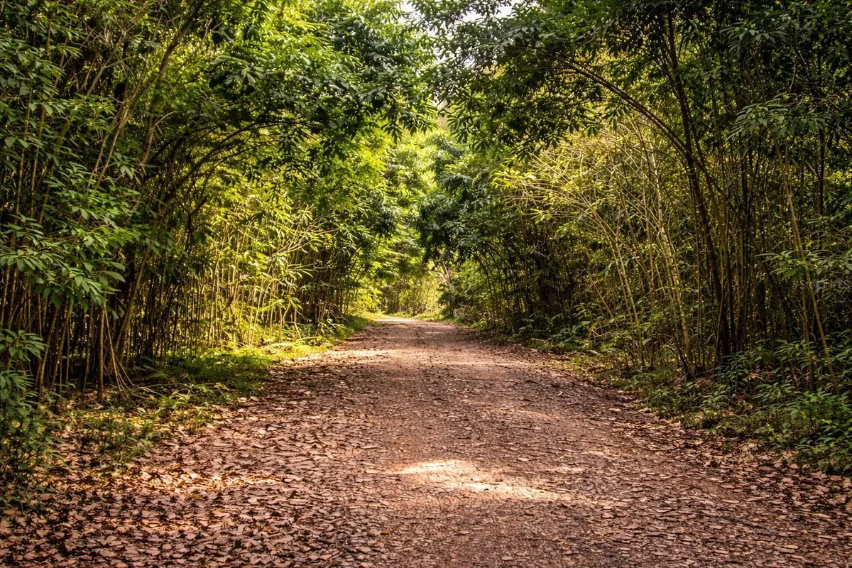 Solar 36 Bo Fronton, Ciales, PR 00638 - #1