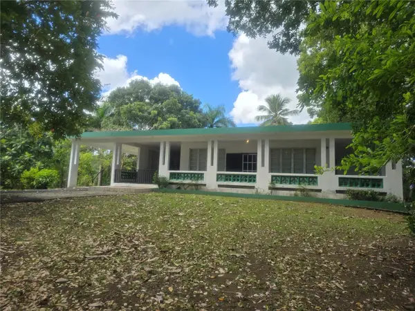 167R Sector Segundo Snchez, BAYAMON, PR 00956