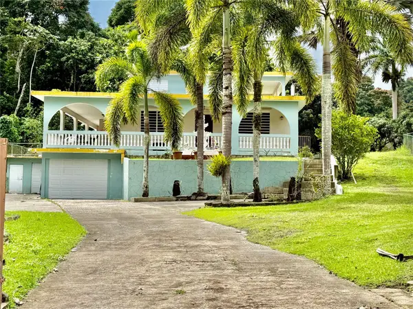 Road181 Km10.3 Queb.Honda Road 181 Km 10.3 Quebrada Honda, SAN LORENZO, PR 00754