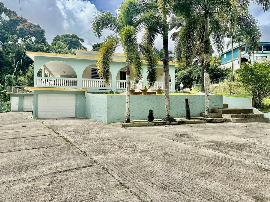 Road181 Km10.3 Queb.Honda Road 181 Km 10.3 Quebrada Honda, San Lorenzo, PR 00754 - #2