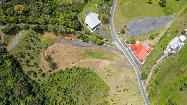 788 Bo Quemado Sector Aires Road, SAN LORENZO, PR 00754