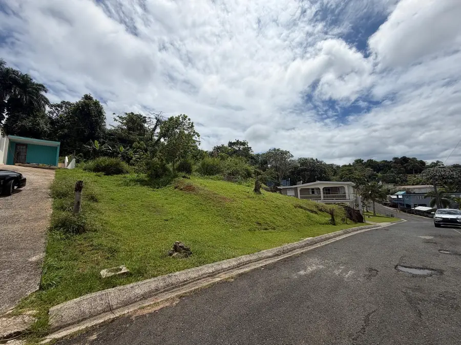 4.4 Carr 787, Cidra, PR 00739 - #2