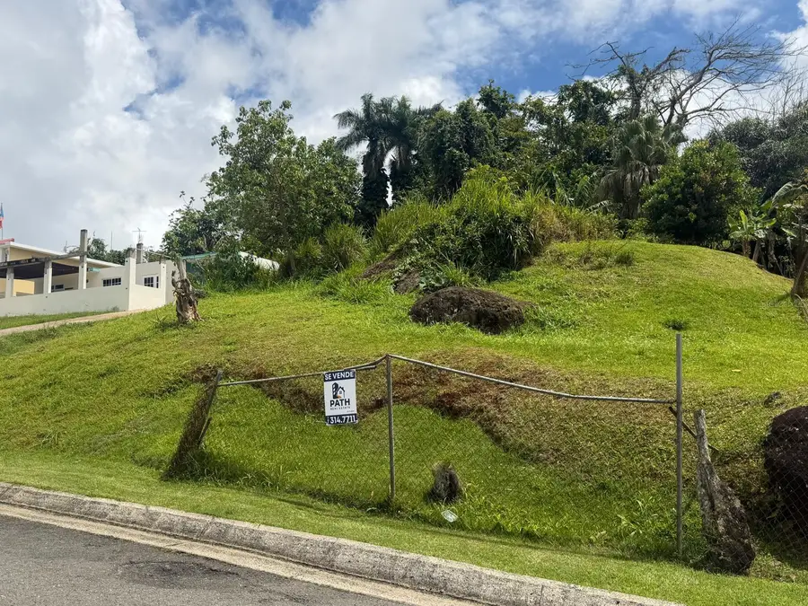 4.4 Carr 787, Cidra, PR 00739 - #3