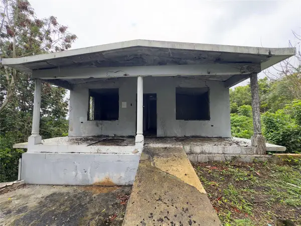 carr 619 Km 3.0 Int. Cuchillas Ward, MOROVIS, PR 00687