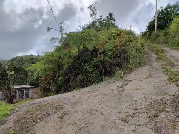 Bo. Indiera Baja, MARICAO, PR 00606