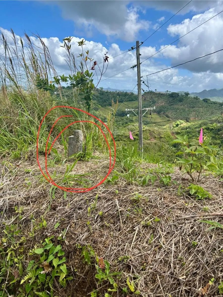 Bo. Indiera Baja, Maricao, PR 00606 - #2