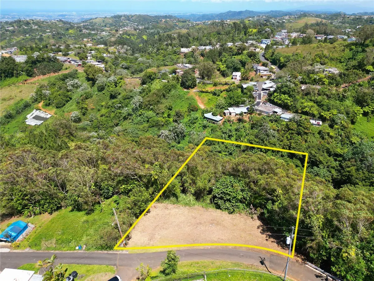 St. 809 Cedro Arriba Sector Santa Teresita Ii #2, Naranjito, PR 00719 - #1