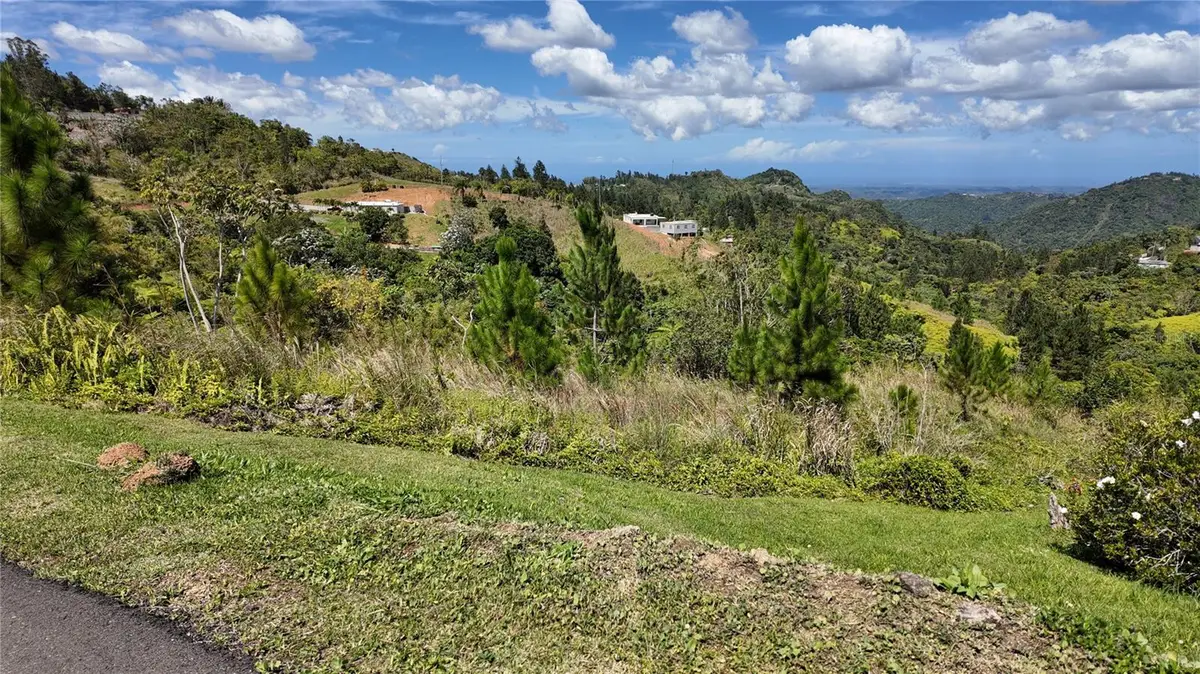 Carr 155 Km 33.1 Int Bo. Gato, Orocovis, PR 00720 - #1