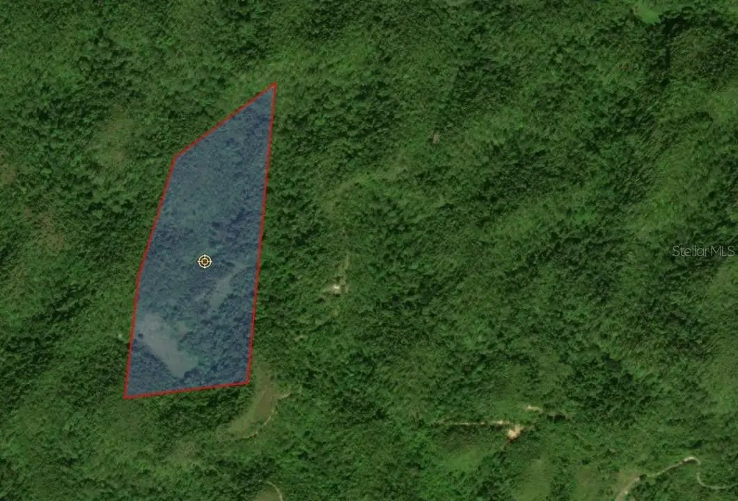 Rd 486 Km 7.5 Abra Honda, Camuy, PR 00627 - #1