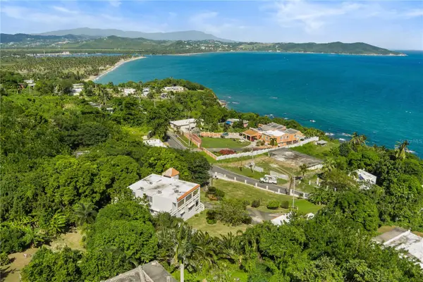 39 Bo. Camino Nuevo, YABUCOA, PR 00767