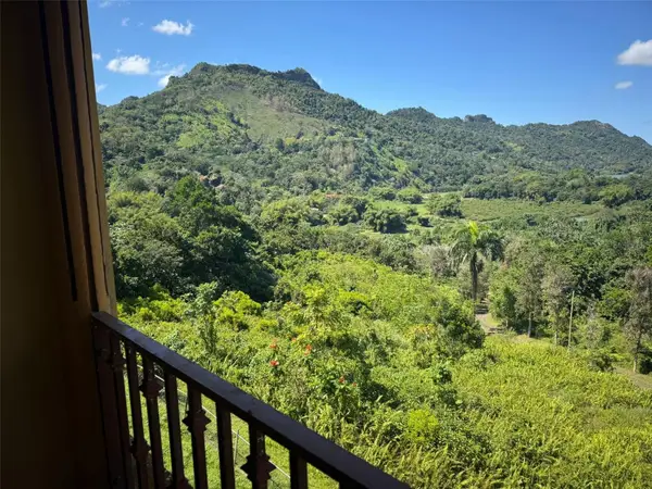 612 Carr 612 Brooks, UTUADO, PR 00641