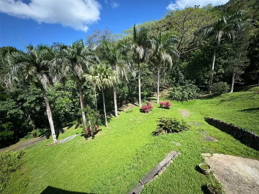 612 Carr 612 Brooks, Utuado, PR 00641 - #2