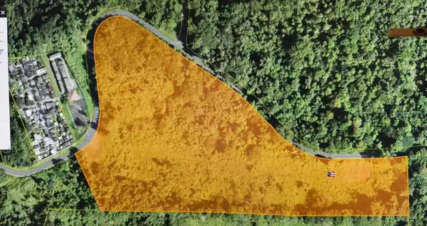 CARR 185 LOTE F Bo Carruzos, CAROLINA, PR 00987