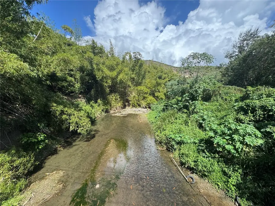 Pr-335, Guayanilla, PR 00656 - #2