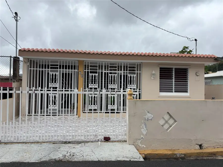 Daniel Bonilla 30 Buena Vista, Cayey, PR 00736 - #2