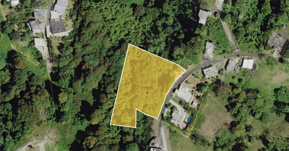 Montellano, Las Piedras, PR 00771 - #1